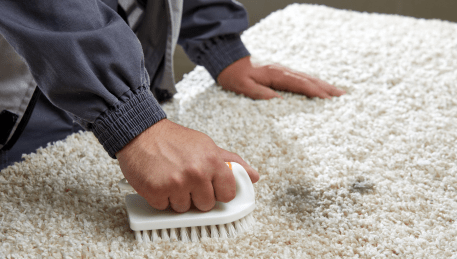 Professional Rug Cleaning Donnybrook