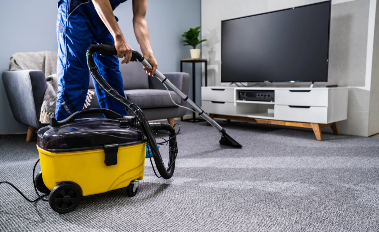 Extract Rug Cleaning Donnybrook Contact Office